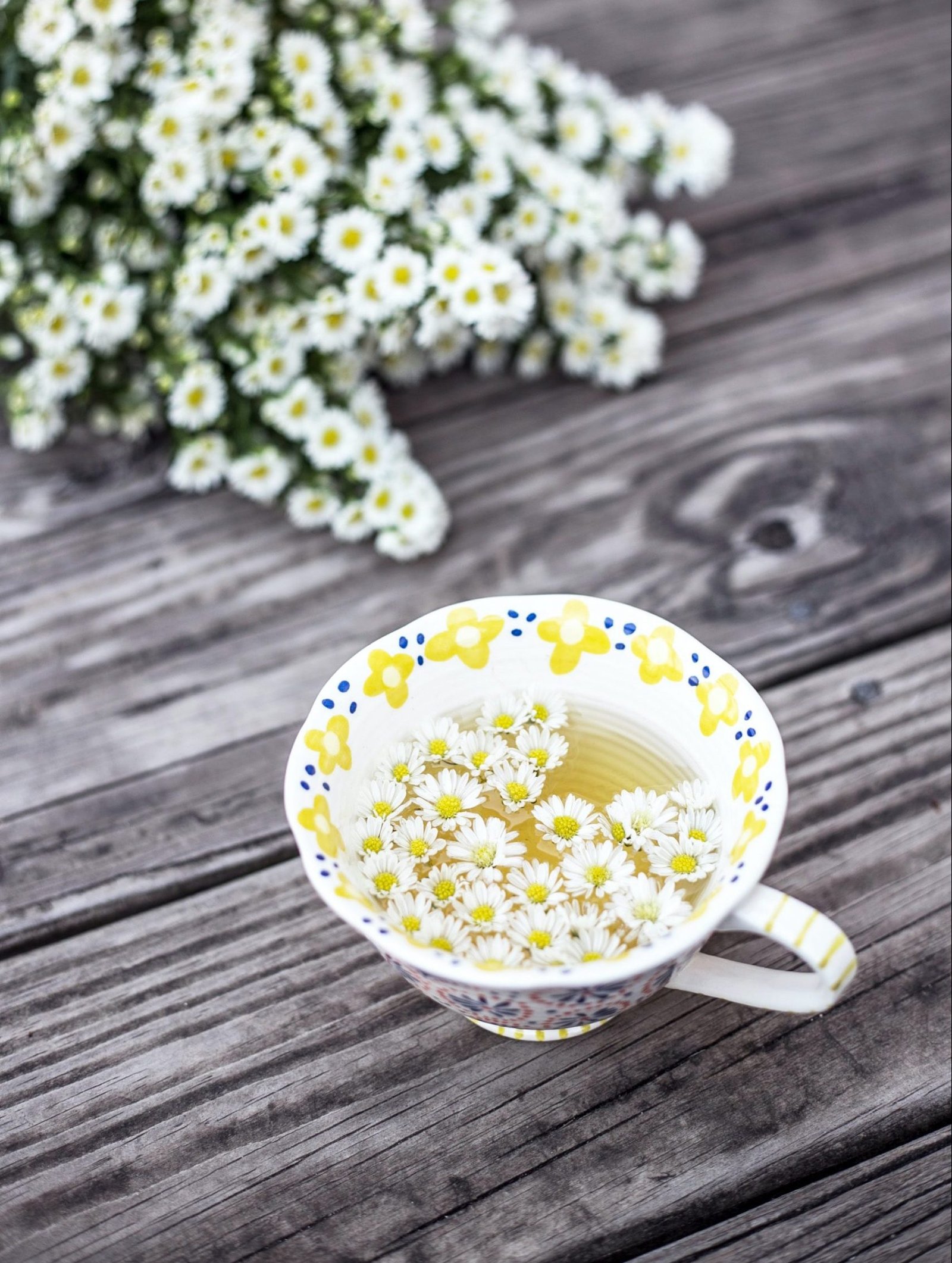 Unlocking the Healing Power and benefits of Feverfew